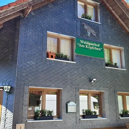 Waldpension Am Koepfchen Kurort Steinbach-Hallenberg