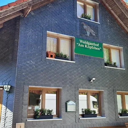 Waldpension Am Koepfchen Kurort Steinbach-Hallenberg