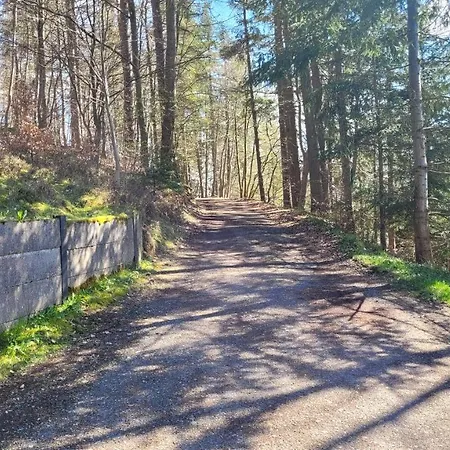 Waldpension Am Koepfchen Pensjonat Kurort Steinbach-Hallenberg